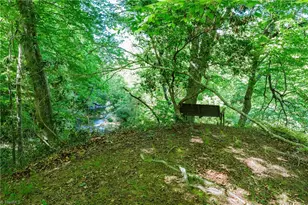 1160 River Bluff Trail, Tobaccoville, NC 27050 - Photo 40