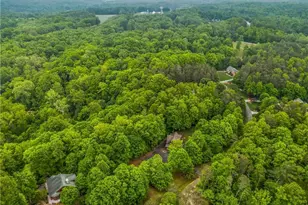 1160 River Bluff Trail, Tobaccoville, NC 27050 - Photo 46