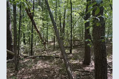 00 Woodwinds Drive, Pelham, NC 27311 - Photo 14