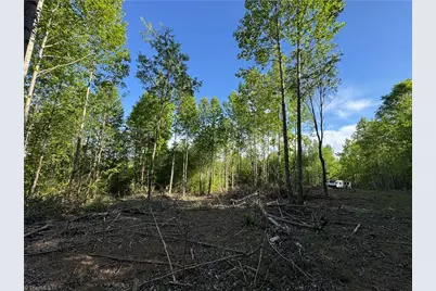 Tract 3 River Rd Liberty Grove Road, North Wilkesboro, NC 28659 - Photo 8