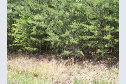 00 Floyd Road, Eden, NC 27288 - Photo 6
