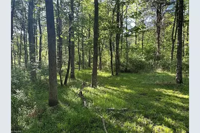 0 Bonkin Lake Road, Mocksville, NC 27028 - Photo 6