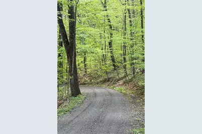 Lot#28 Bluff Ridge Road, West Jefferson, NC 28694 - Photo 1