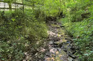 1066 Arbor Grove Baptist Church Rd, Roaring River, NC 28659 - Photo 32