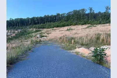 Tract 2 Browers Chapel Road, Asheboro, NC 27205 - Photo 2