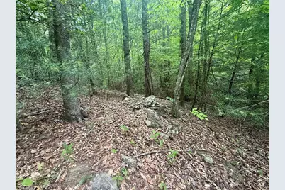 0000 Ashe View Drive, Millers Creek, NC 28651 - Photo 30