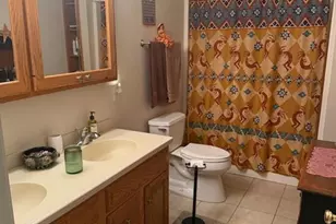 160 Shepherds Pass, Moravian Falls, NC 28654 - Photo 30