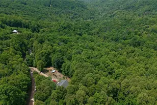 160 Shepherds Pass, Moravian Falls, NC 28654 - Photo 42