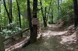 5797 Sheets Gap Rd, Millers Creek, NC 28651 - Photo 22