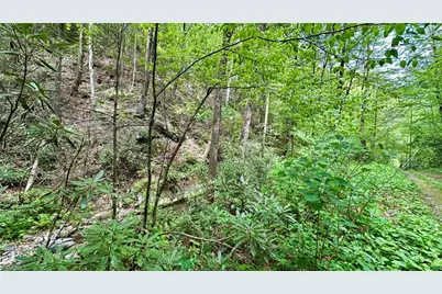 000 N Old Nc Highway 16, Millers Creek, NC 28651 - Photo 6
