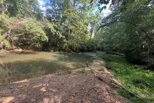 249 Gospel Time Way, Mount Airy, NC 27030 - Photo 1