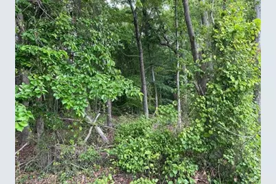 1799 Haire Road, Yadkinville, NC 27055 - Photo 4