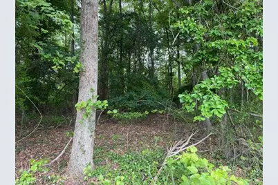 1799 Haire Road, Yadkinville, NC 27055 - Photo 8