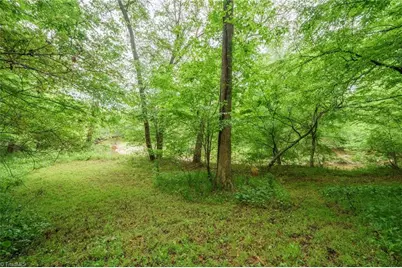 2517 Horseshoe Road, Westfield, NC 27053 - Photo 40