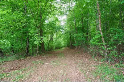 2517 Horseshoe Road, Westfield, NC 27053 - Photo 42