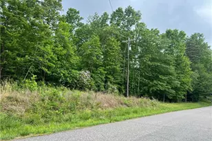 0 Gillespie St, Dobson, NC 27017 - Photo 1