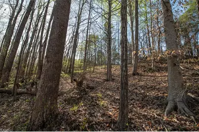 Lot 38 Lake Shore Drive, Yanceyville, NC 27379 - Photo 18