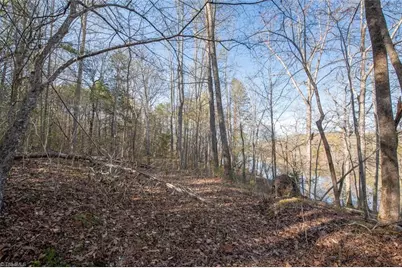 Lot 38 Lake Shore Drive, Yanceyville, NC 27379 - Photo 12