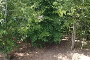 2212 Becks Church Rd, Lexington, NC 27292 - Photo 38