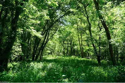 48.48 Acres Valley Road, Winston-Salem, NC 27106 - Photo 24