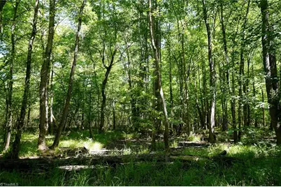 48.48 Acres Valley Road, Winston-Salem, NC 27106 - Photo 26