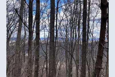 Lot 21 Bobcat Mountain Road, Purlear, NC 28665 - Photo 4