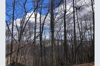 Lot 21 Bobcat Mountain Road, Purlear, NC 28665 - Photo 6