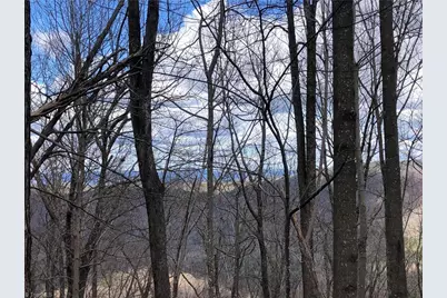 Lot 21 Bobcat Mountain Road, Purlear, NC 28665 - Photo 12