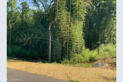 7548 Whisper Hollow Lane, Lewisville, NC 27023 - Photo 1