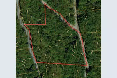 0 Chestnut Mountain Farms Parkway, McGrady, NC 28649 - Photo 12