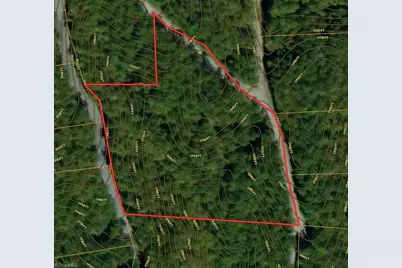 0 Chestnut Mountain Farms Parkway, McGrady, NC 28649 - Photo 12
