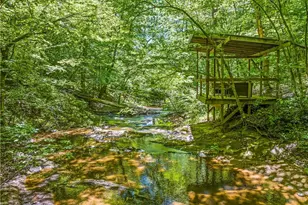 1930 Snow Hill Church Road, Danbury, NC 27016 - Photo 48