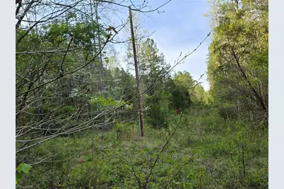 0000 Hoover Hill Road, Asheboro, NC 27205 - Photo 16