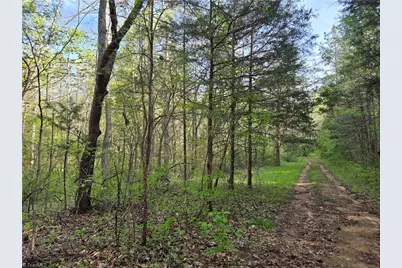 0000 Hoover Hill Road, Asheboro, NC 27205 - Photo 4