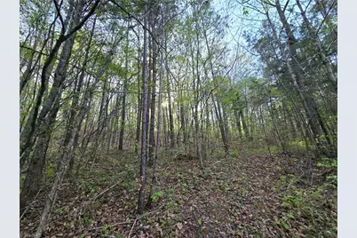 0000 Hoover Hill Road, Asheboro, NC 27205 - Photo 12