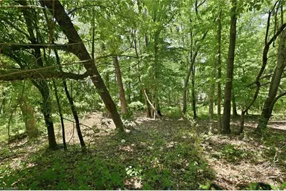 358 Farrar Store Road, Stokesdale, NC 27357 - Photo 44