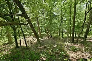358 Farrar Store Rd, Stokesdale, NC 27357 - Photo 44