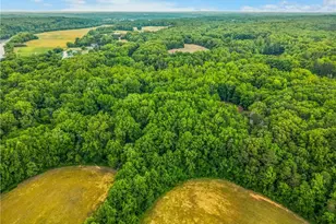 4500 Williams Rd, Lewisville, NC 27023 - Photo 4