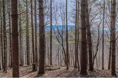 8 & 9 Haven Ridge, Lansing, NC 28643 - Photo 2