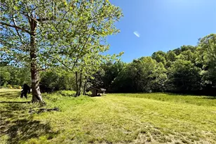 1038 Blackburn Hollow Rd, Purlear, NC 28665 - Photo 6