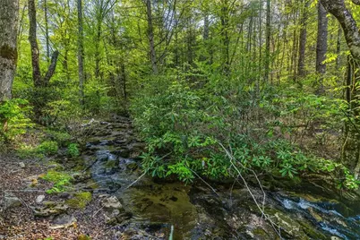 164 Deelani Trail, Fleetwood, NC 28626 - Photo 42