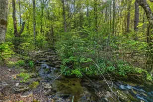 164 Deelani Trail, Fleetwood, NC 28626 - Photo 42