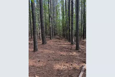 851 Case School Road, Mayodan, NC 27027 - Photo 50