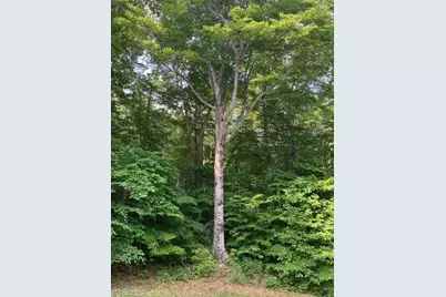 7634 Whisper Hollow Lane, Lewisville, NC 27023 - Photo 1