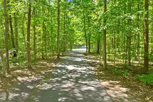 355 Rabbit Farm Trail, Advance, NC 27006 - Photo 48