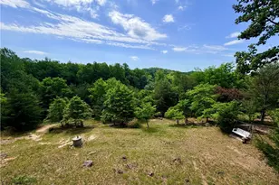 147 Fairview Dr, Traphill, NC 28685 - Photo 40