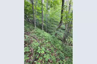 Tbd Ben Bolen Road, Creston, NC 28615 - Photo 16