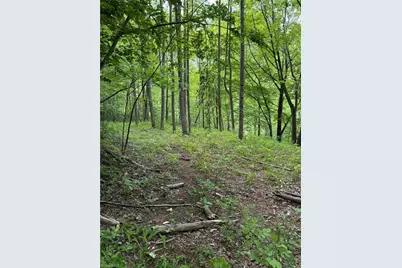 Tbd Ben Bolen Road, Creston, NC 28615 - Photo 14