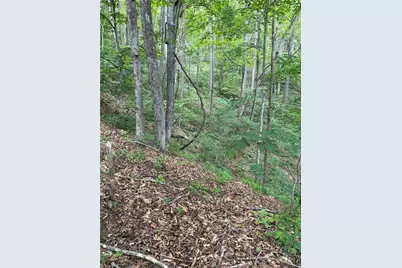 Tbd Ben Bolen Road, Creston, NC 28615 - Photo 8
