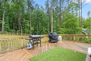 4638 Apple Rdg Ln, Graham, NC 27253 - Photo 42